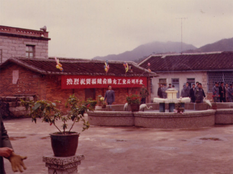 （旧照）腾龙工业公司